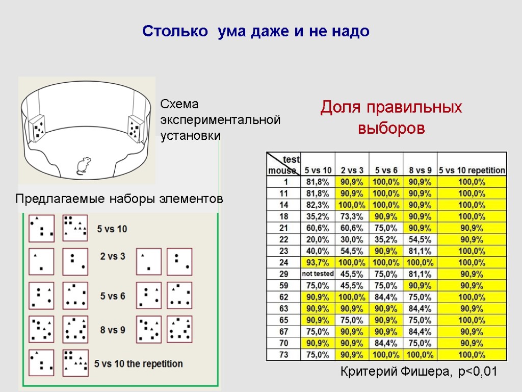 Столько ума даже и не надо Схема экспериментальной установки Предлагаемые наборы элементов Доля правильных